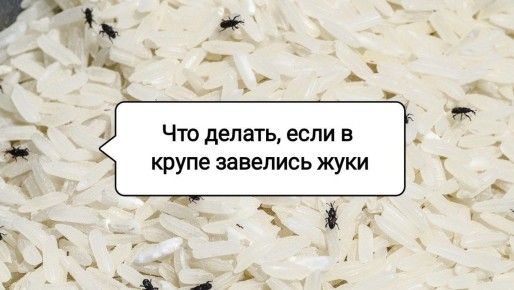 ��� ���������� �� ������ � �����: ������� ������ � �������� ��� �������