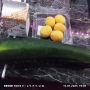 Кулинарное искусство: Как из простого кабачка создать кулинарный шедевр