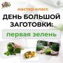 Как сохранить свежесть зелени и удивить своих домашних новыми блюдами